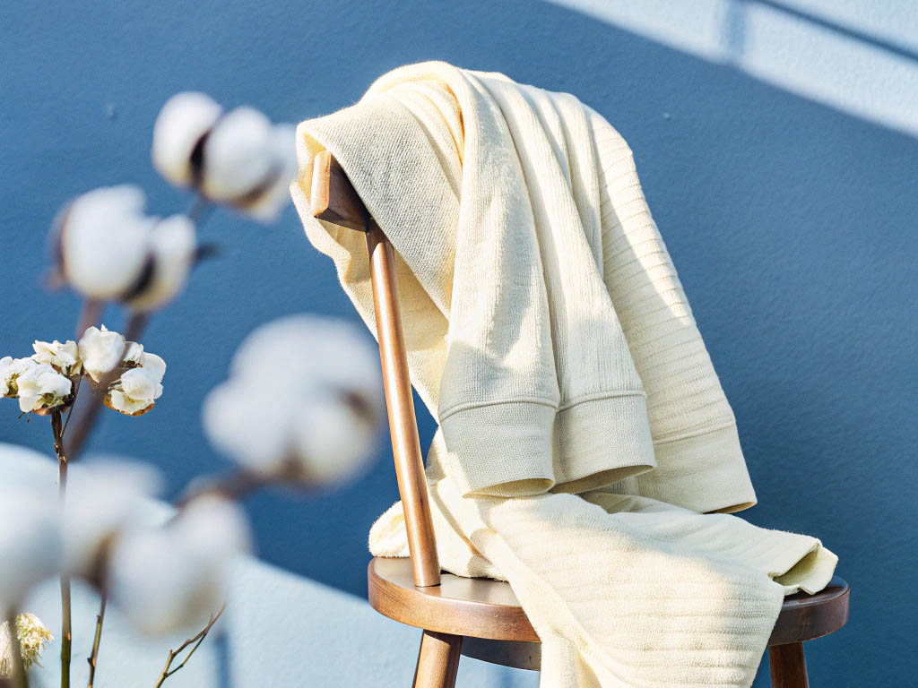 Cream-colored cotton sweatshirt draped over a wooden chair, with cotton flowers in sunlight.