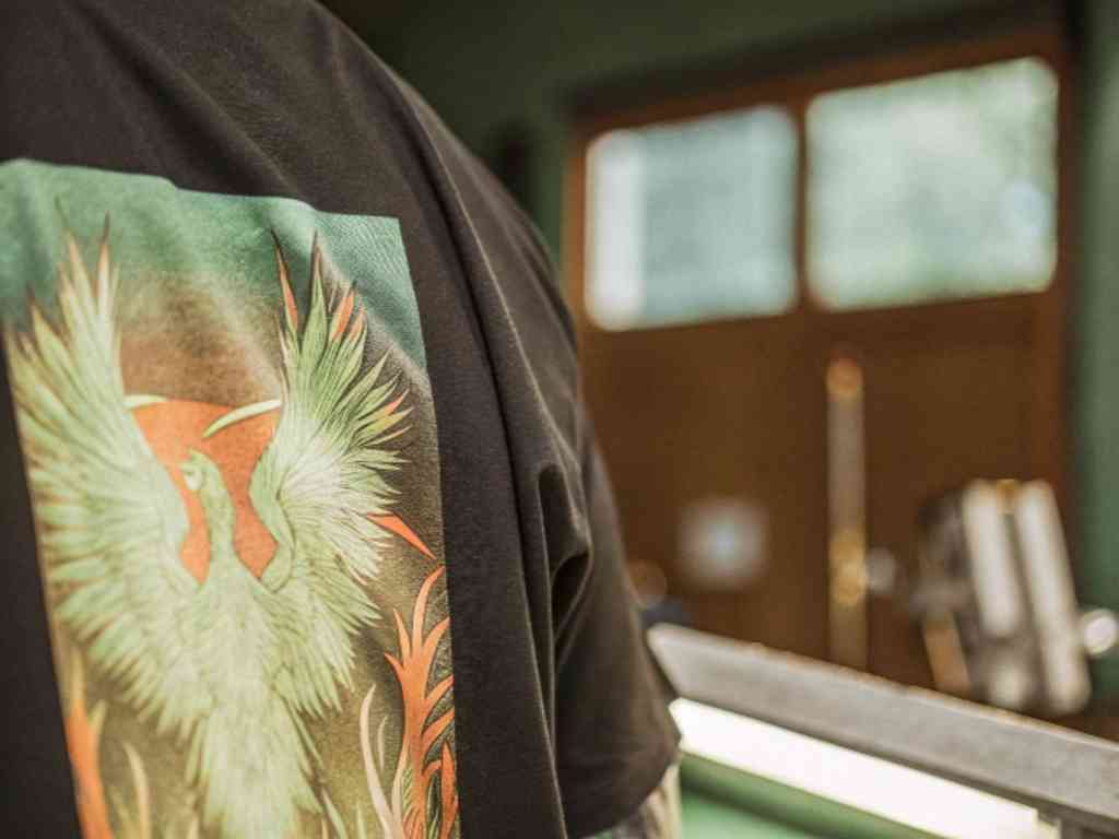 Black t-shirt with green and orange phoenix design on back